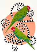 Red Masked Parakeets - Paper Print