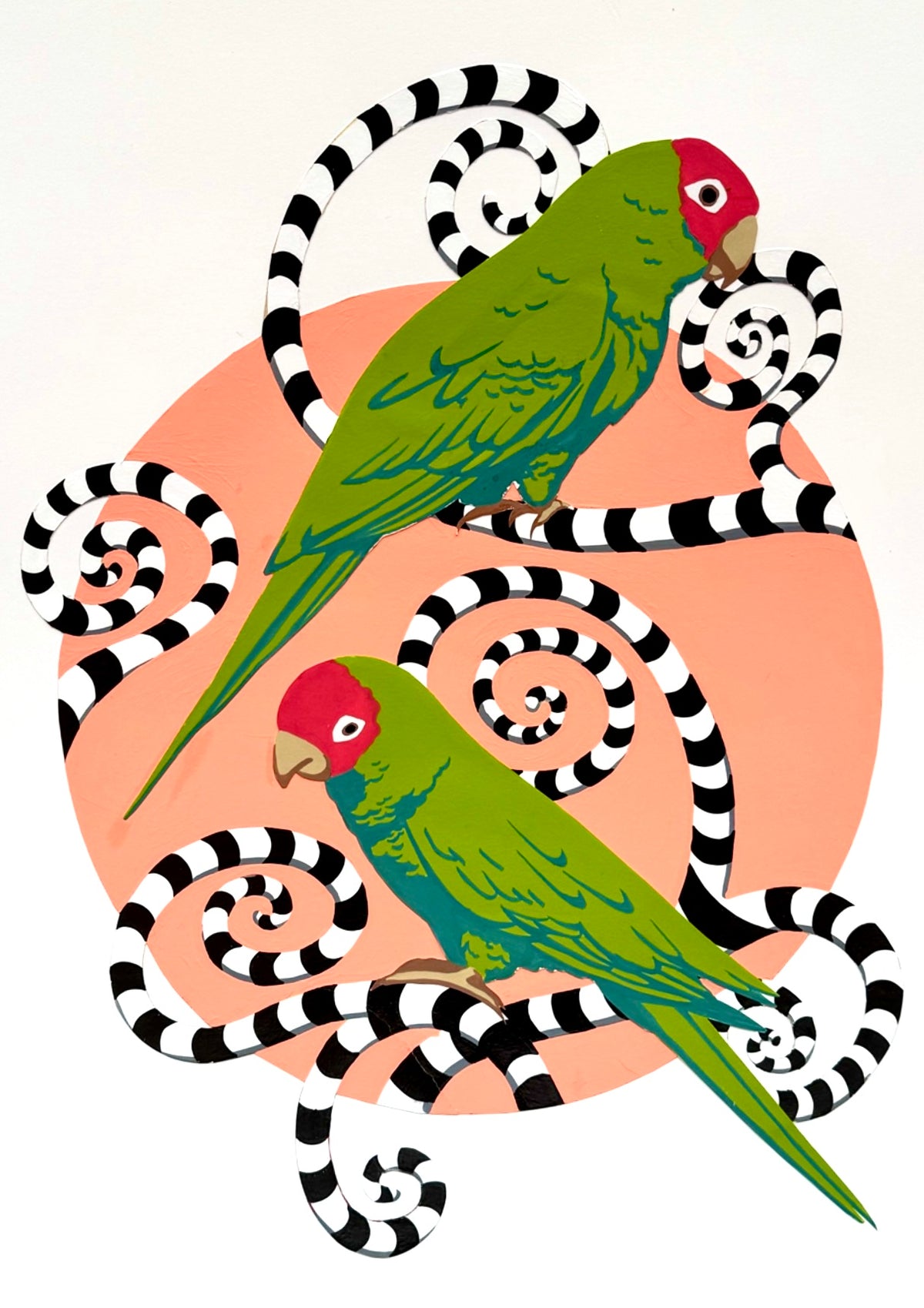 Red Masked Parakeets - Paper Print
